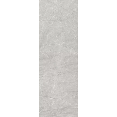65322 Silver Sat Ret 20x60 0