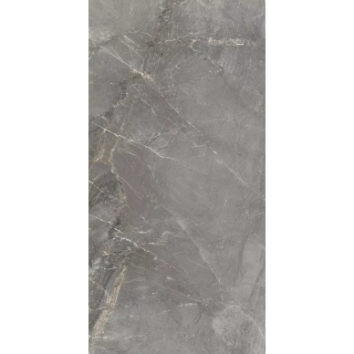 83331 Sybil Silver Rettificato R10 60x120 0