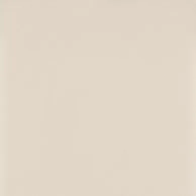 Intero Bianco 59,8x59,8 0