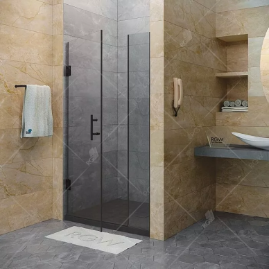 Душевая дверь RGW Hotel HO-012B (350601212-14) 120х195 см, черный профиль/прозрачное стекло 5
