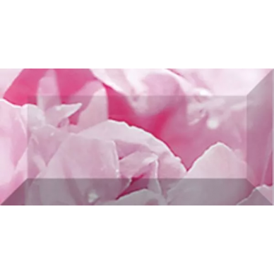 Бордюр рельефный Peony br1020D281-2 20х10 0
