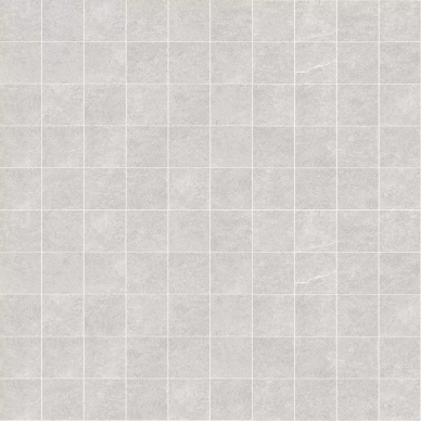 24500 D.NATURE SILVER MOSAIC/30X30 0