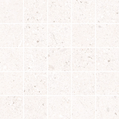 22622 D.EVOLUTION BONE MOSAIC/25X25 0