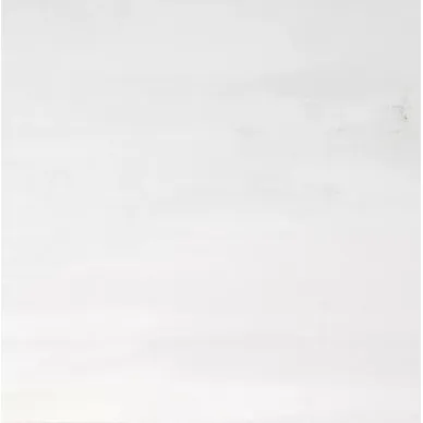 Forma White Patinato 59.55x59,55 0