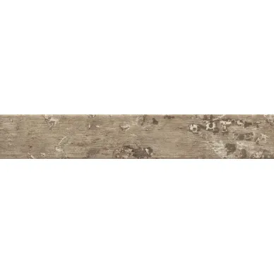 1058458 Kentucky American Elm 15*90 0