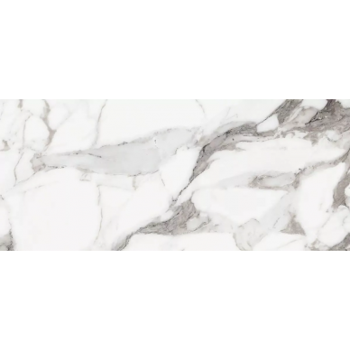 769971 Origines De Rex Argent Matte 6mm 120x280 0