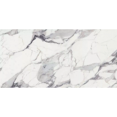 769983 LES ORIGINES DE REX ARGENT GLOSSY 6mm 60x120 0