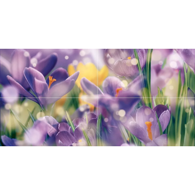 Панно Crocus P4D286 80х40 0