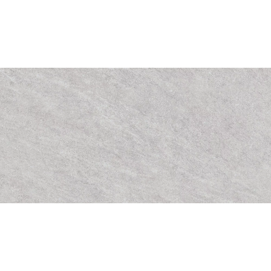 25819 NATURE GREY SF/60X120/C/R R10 0