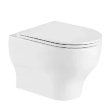 Инсталляция Welt Wasser Bamberg 525 + ERLENBACH 004GL-WT + Bamberg BL в комплекте с унитазом, безободковый, с сидением микролифт 1