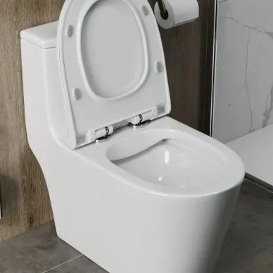 Унитаз напольный Teymi Solli T41101 микролифт 10