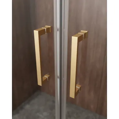 Душевая дверь Cezares Molveno MOLVENO-BF-2-170-C-BORO-IV 170х195, профиль брашированное золото/стекло прозрачное 2