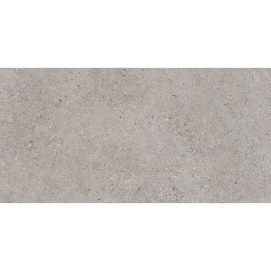 22229 EVOLUTION GREY/50X100/R 50x100 0