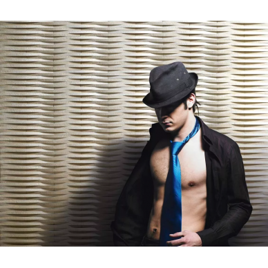Evolution 12