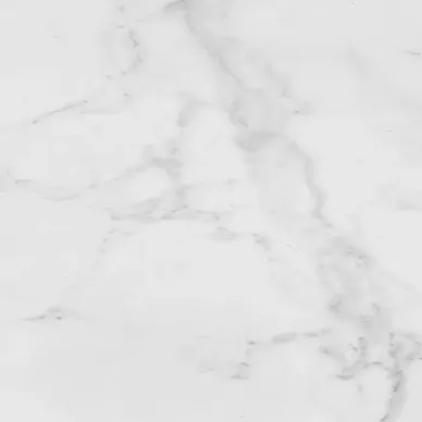 P1856896 V5590680 Carrara Blanco Brillo 59.6x59.6 0