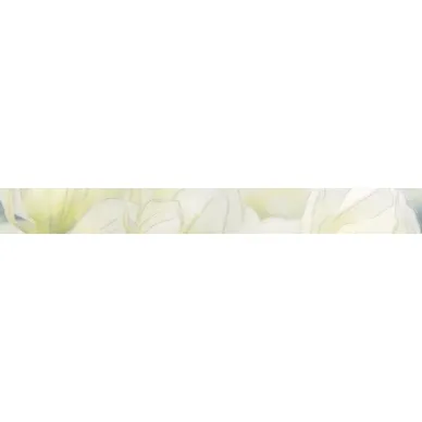 Rapsodia olive border 01 60x6.5 0