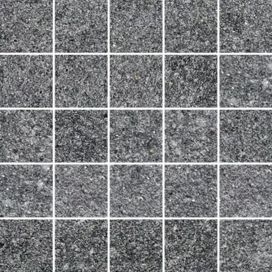 23550 MUSEUM D.RUGBY BLACK MOSAIC/25X25/EP 25x25 0