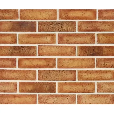 Рижский кирпич 65 22,1х6,4 0