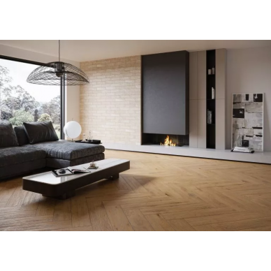 Listria 5