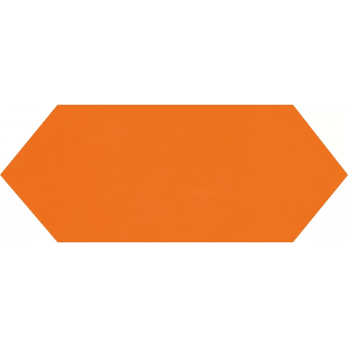 Cupidon Naranja Brillo Liso 10х30 0