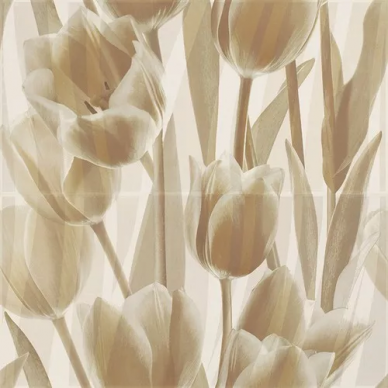 Coraline панно Tulipany 60x60 0