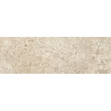 9529 Caramel 30x90 0