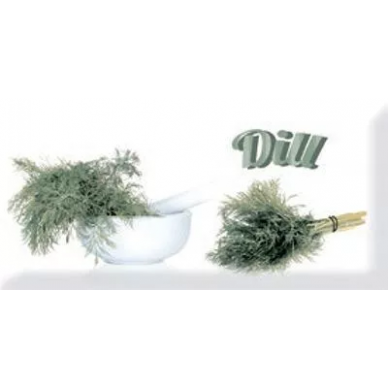n009304 DECOR MODERN DILL 10x20 0