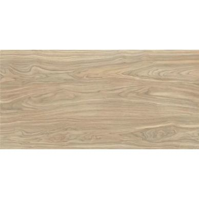 K949579R0001VTE0 Wood-X Орех Голд Терра Матовый R10A Ректификат 60x120x1 0