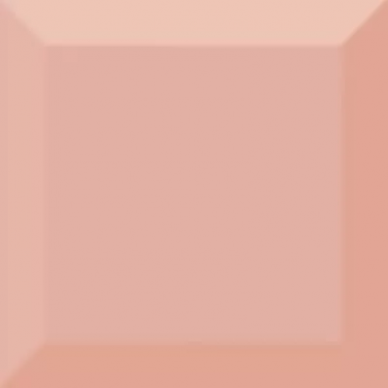 Biselado Brillo Coral 10x10 0