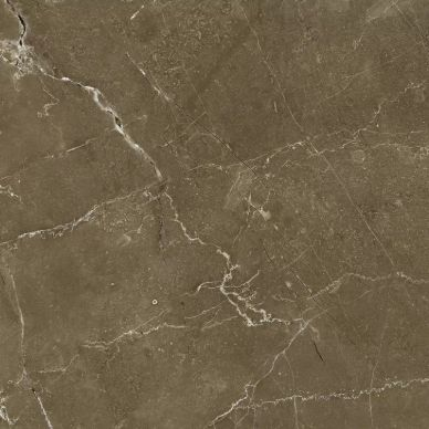 Anubis Brown 44.7x44.7 0