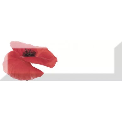 Decor Poppy 01 10X30 0