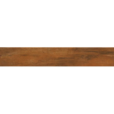1036324 Golden Saddle 15x90 0