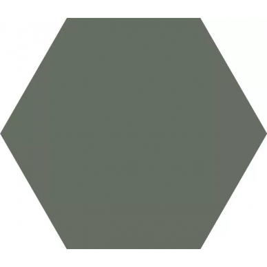BASIC HEX 25 Moss 25x22 0