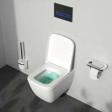 Унитаз подвесной Am.Pm Gem C901901SC безободковый, с микролифтом, белый 8