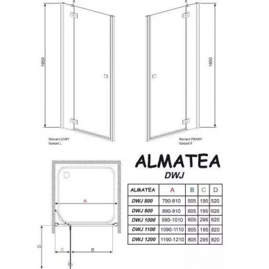 Душевая дверь Radaway Almatea Gold DWJ (31312-09-05N) (110 см) графит (R) 1