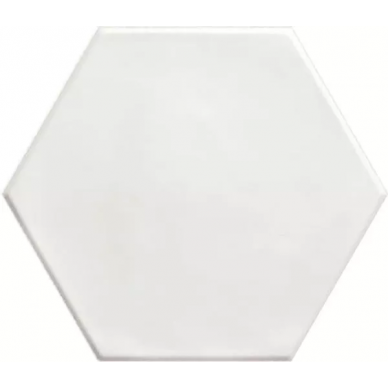 PT03146 Hex White Matt 15x17,3 0