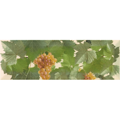 Moscatel crema 1 10x30 0