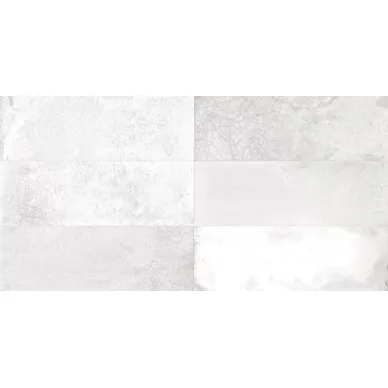28938 FS RAKU WHITE 20X40 0