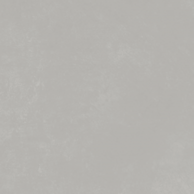 22477 PLANET SILVER/90.7X90.7/SF/R 90.7x90.7 0