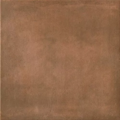 1043643 COCCIO (BISCOTTO) 48x48 0