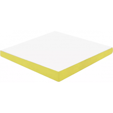 16490 D.SCALES-AM 12X12 0
