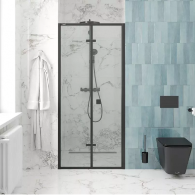 Душевая дверь Cerutti SPA Bella (BELLA D91B) (90х195) профиль чёрный/прозрачное стекло 6