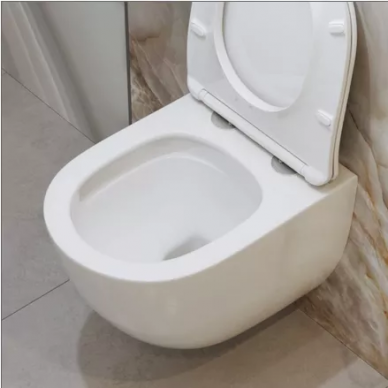 Чаша подвесного унитаза BelBagno Amanda (BB051CH-TOR-FC) безободковый 9