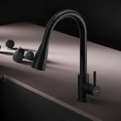 Смеситель для кухни AM.PM X-Joy S F85B07522 с выдвижным изливом, черный матовый 5
