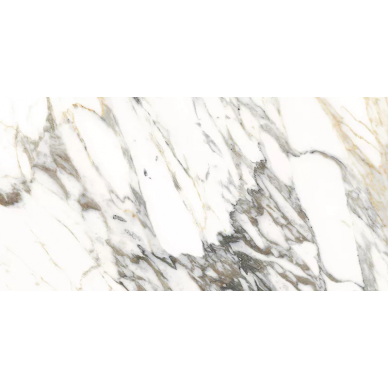 MACCHIA VECCHIA NT/60X120/R 60x120 0