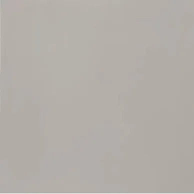 NEUTRAL BEIGE NATURAL 59.55х59.55 0