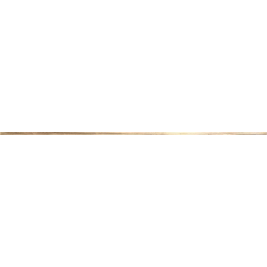 1021112 LISTELLO BRASS 1x100 0