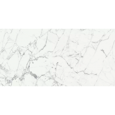 769985 LES ORIGINES DE REX BLANC GLOSSY 6mm 60x120 0