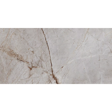 Silver Root Полированный 60х120 0