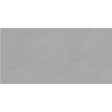 508041101 Azolla grey 20.1х40.5 0